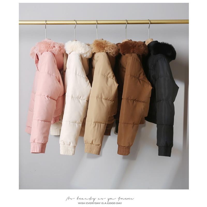Women S Winter Hooded Short Long Sleeve Cotton Padded Coat