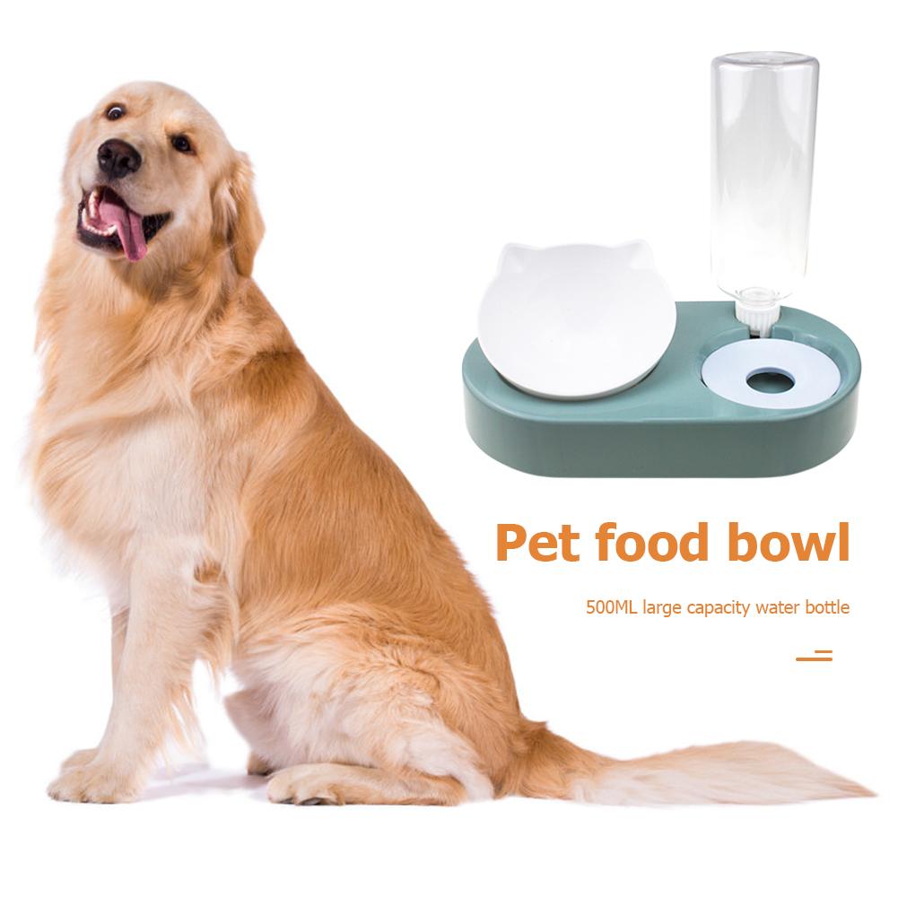 inflatable dog bowl