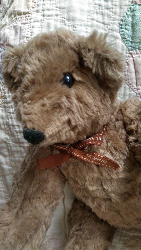 [USED] Teddy Bear with Moving Limbs