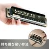 East Top Blues Harmonica in for Jazz and Study and Brass Canvas Lucky13 Harmonica, 13-Hole G, Professionals, Adults, Children, Practice, Cover, Case,