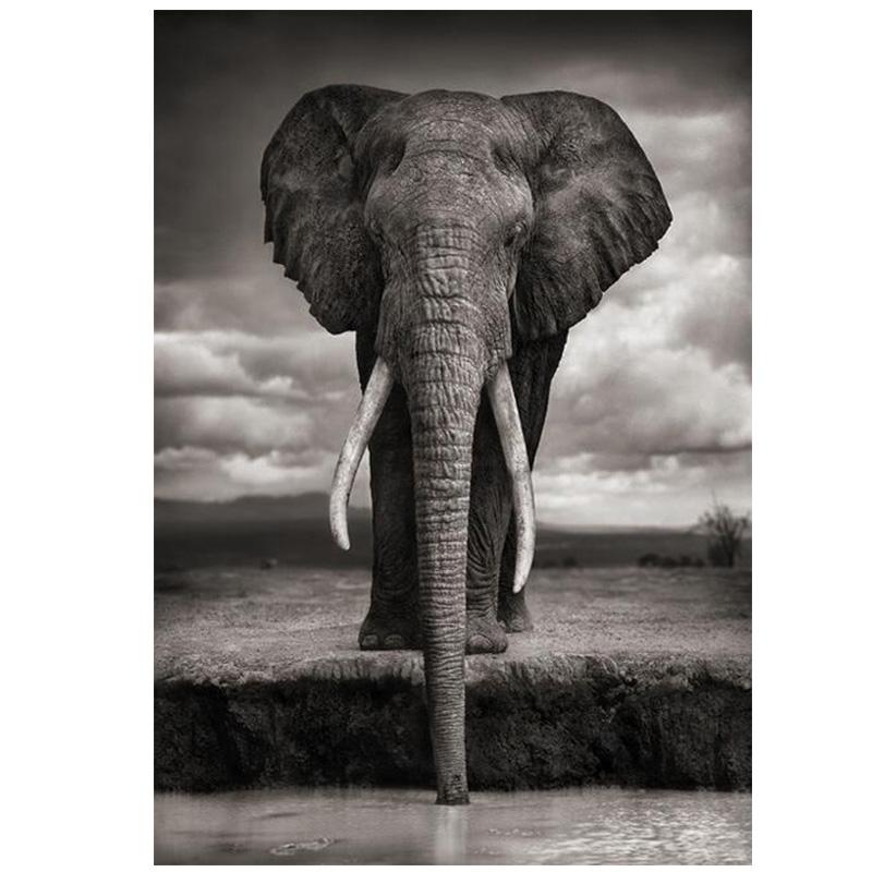 

Скандинавские креативные настенные картины со слонами, печать на холсте, художественные принты, животные, черно-белые настенные картины с животными для гостиной 21x30cm No Frame