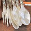 Natural Conch Shell Dessert Spoon 12/16cm Reusable Eco-friendly Spoon for Coffee Ice Cream Caviar Home Party Dessert Bar Use