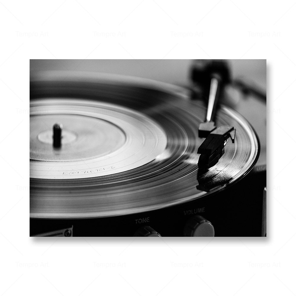 

Черно-белые музыкальные принты, ретро виниловая пластинка, гитарный постер, настенная живопись на холсте, скандинавская картина для гостиной, домашний декор 30x40cm No Frame