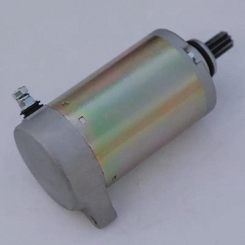 Motorcycle Starter Motor for WJ250/GN250/QM250J-2L/2D Engines