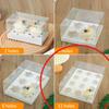 10sets Transparent Paper Cup Box 2/4/6/12 Hole Cake Bread Baking Packaging Boxes Wedding Party Dessert Display Box Cake Tray Excluding Ribbons