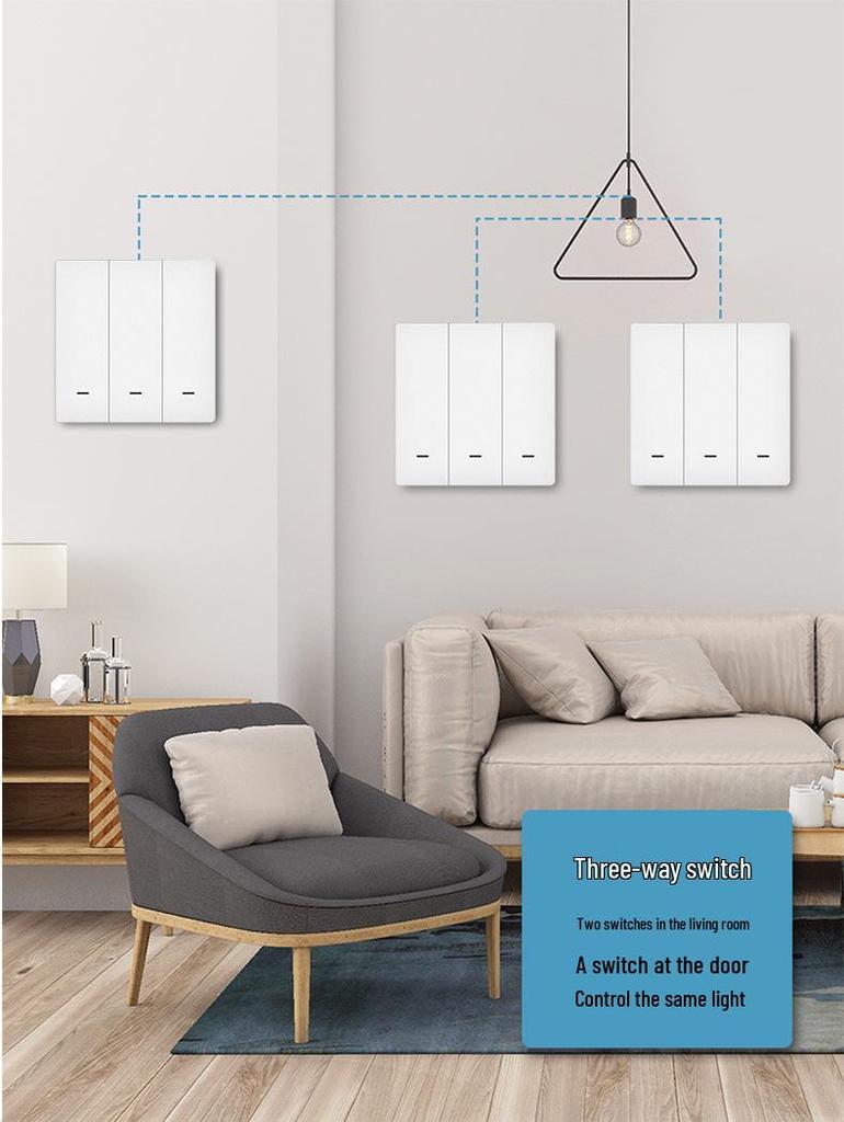Zhengshang B1 WiFi Smart Switch: Alexa & Google Voice Compatible, EU Standard Panel