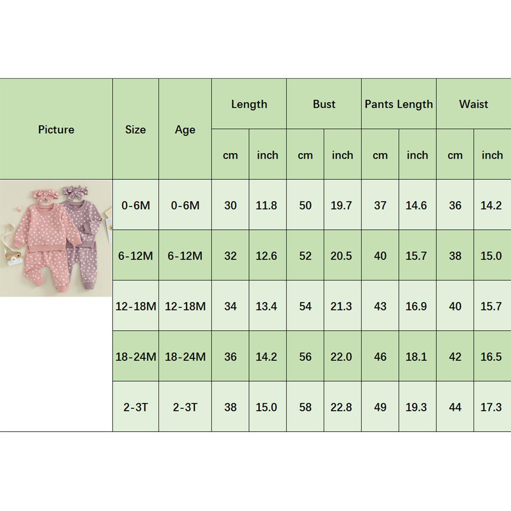 Baby Girls Outfit, Flower Print Long Sleeve Crew Neck Sweatshirt Sweatpants Headband Fall Outfit