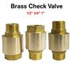 BSPT Thread Brass Check Valve Male To Mal Spring Check Valve Durable Pipe Check Valve