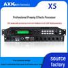 Professional 5.1 Karaoke Preamp with Equalizer & Digital Reverb for Stage Performance