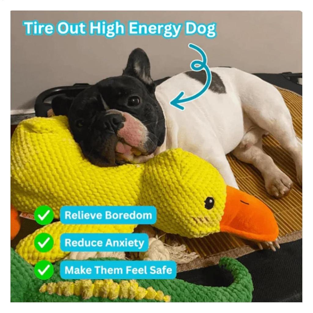 dog sleeping with duck toys to relieve boredom of little yellow duck pet puppy interactive plush doll hug duck