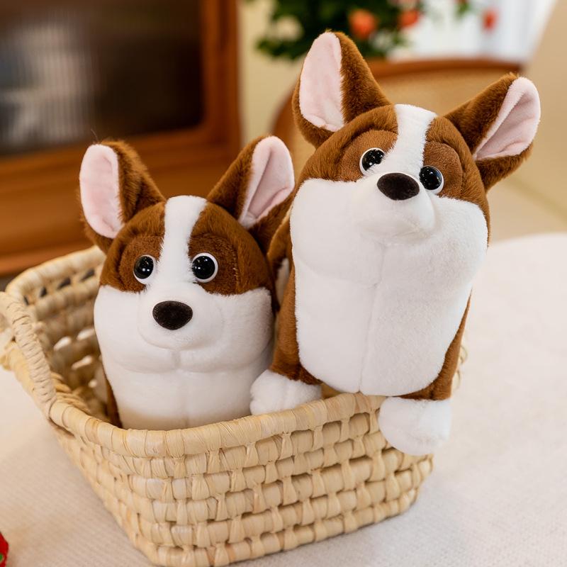 Cute station corgi doll plush toy puppy doll for children