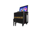 MALONE 2025 Portable Outdoor Karaoke System with 14-inch Video Screen CN Plug (adapter Included)