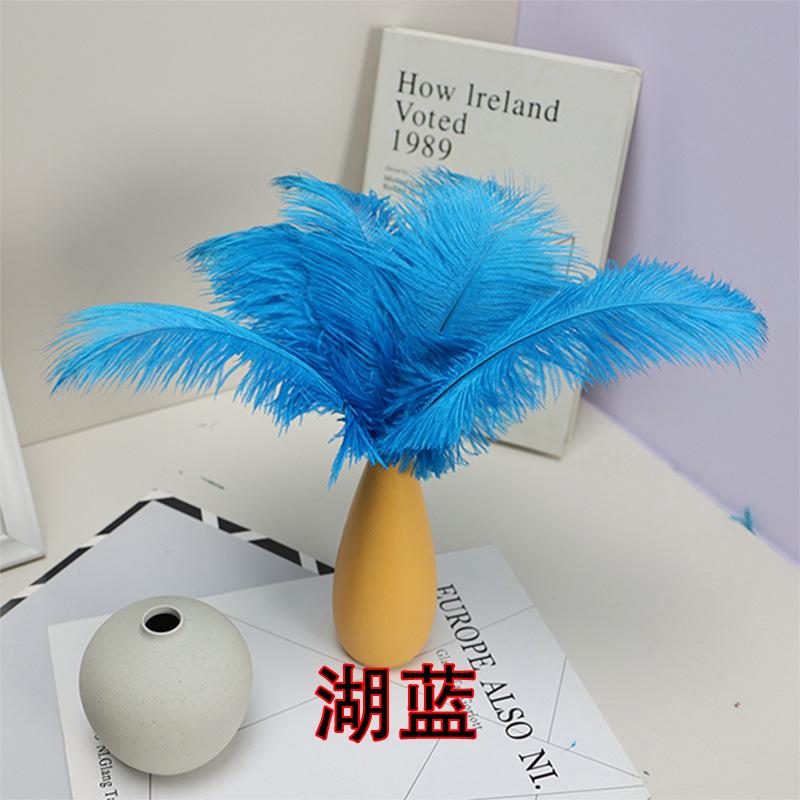 

20-25Cm Ostrich Feather Stage Performance Feather Handmade Diy Jewelry Decorative Material Ostrich Hair озеро синий