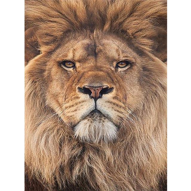 

5D DIY алмазная живопись животное Лев Алмазная вышивка горный хрусталь художественная картина мозаика ручная работа из бисера украшение дома подарок Full Round 20x30CM