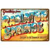 Metal Poster Pike Fish Art Fishing Store Wall Decor 20x30cm 2D Flat Metal Sign