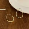 Metal wind round geometric earrings niche simple versatile stud earrings ins fashion high-end earrings
