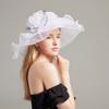 Hat Women'S Summer New Anti-Ultraviolet Beach Sun Hat Organza Flower Sun Hat Big Edge Mesh Top Hat