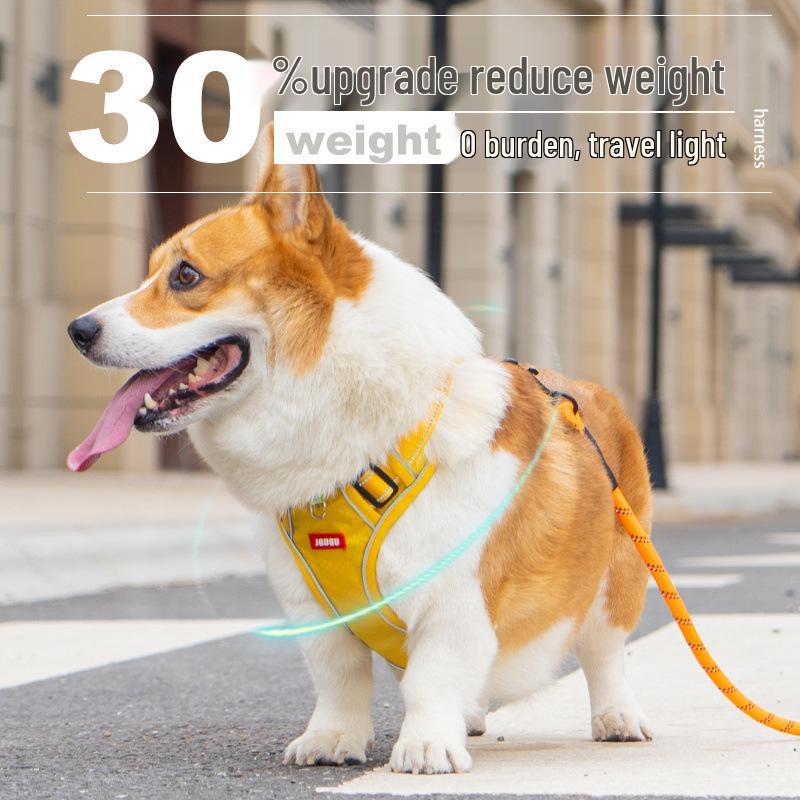 Corgi Dog Harness and Leash Set - Small To Medium Dog Vest Style