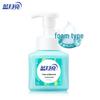 Blue Moon Fresh Fruit Mint Foam Antibacterial Hand Soap