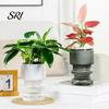 Water Absorbing Cotton Rope Planter Self Watering Flowerpot with Transparent Bottle and Level Indicator for Lazy Gardener Pot Indoor Plants