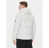 Winter Jacket Save The Duck P30811M SMEG19 Grey, Standard Fit