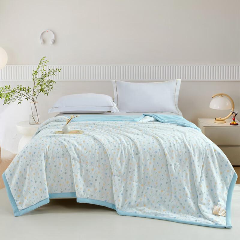 

Zi Yun Lightweight Polyester Summer Quilt