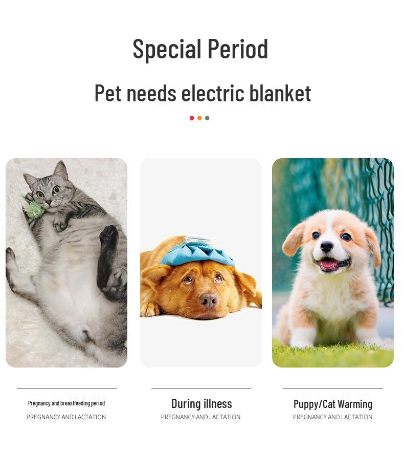 Rechargeable Waterproof Electric Heating Pad for Pets - Small Dogs & Cats, US Standard, Constant Temperature