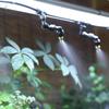 WiFi Enabled Rainforest Mist Sprayer Automatic Spray Timing System for Garden Greenhouse Reptile Care