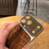 Leopard Print Window Design Phone Case for iPhone 17 Pro Max and Apple 16 (14/15 Compatible)