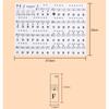 Newbie Piano Key Stickers Set for 88/61/54/49 Keys, Includes Removable Colorful Note Labels