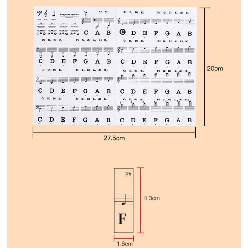 Newbie Piano Key Stickers Set for 88/61/54/49 Keys, Includes Removable Colorful Note Labels