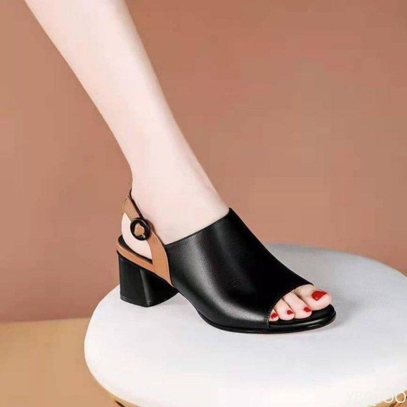 Fashion Fish Mouth Color Blocked Low Heeled Sandals 2025 New Outfit European and American Versatile Style Sandals Platform Zapatos Mujer