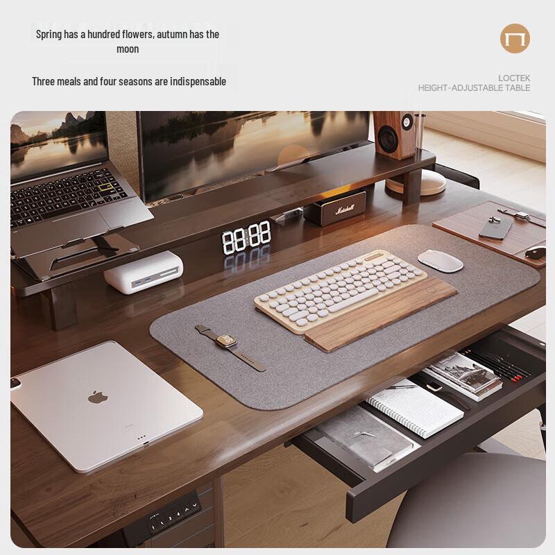 Loctek EM3 Electric Standing Desk