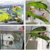 Aquarium Betta Leaf Decor Artificial Spawning Rest Bed Fish Tank Hiding Play Accessory Leaf Plants Decoration Accessories