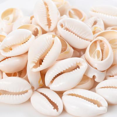 50 Pieces of Fashion Natural Shell Beads Cut Shells With Hole Beads For Jewelry Making Bracelet Necklaces HMM