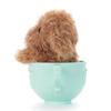 MimicryPet Teacup Mimicry Toy Poodle (Cafe Mocha)