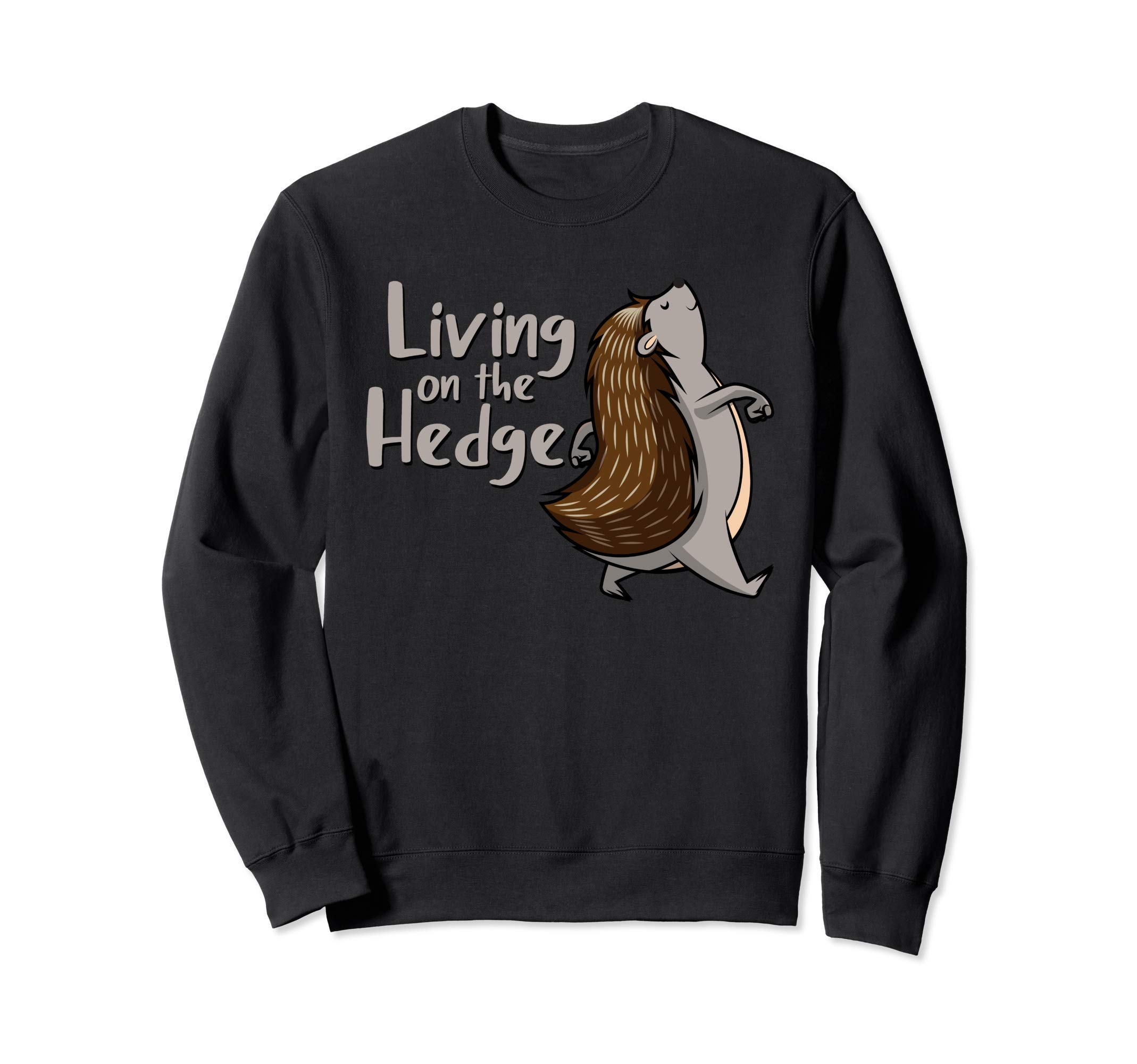 

Cute pet trainer for kids hedgehog living on the hedge edge