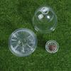 1/5Pcs Visible Clear Plants Germination Cup Transparent Plastic Nursery Growing Box Indoor Garden Greenhouse Seed Starter Tray