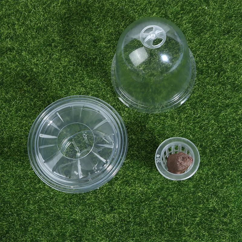 1/5Pcs Visible Clear Plants Germination Cup Transparent Plastic Nursery Growing Box Indoor Garden Greenhouse Seed Starter Tray