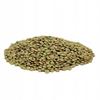 Green lentils Targroch 500g