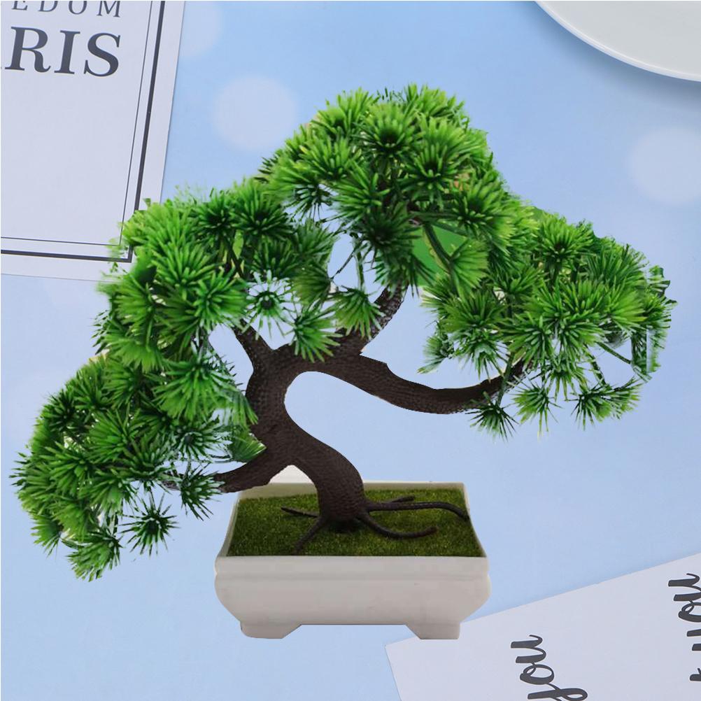 thripse geigenfeige Ficus Lyrata – Geigenfeige