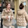 Winter New Cotton-padded Clothes Cotton-padded Clothes Hooded Versatile Loose and Thin Cotton-padded Jackets Simple Women's Jackets