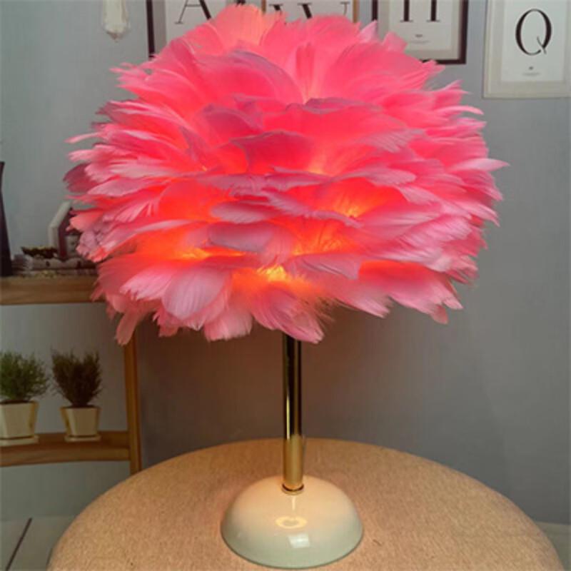Feather Decorative Table Lamp