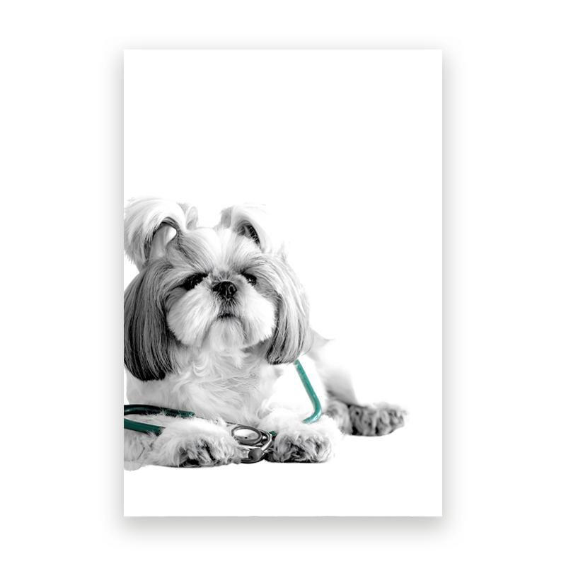Pet Care Art Prints Black White Photography Posters Cat Dog Canvas Painting Animal Clinic Wall Pictures Veterinary Office Decor