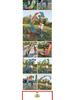 Colorful Children's Fitness Dance Ribbons - Outdoor Dragon Swing for Fun