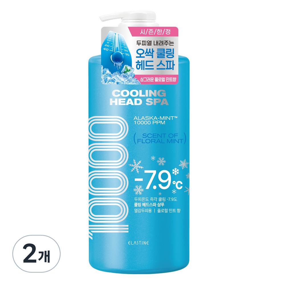 Elastin Cooling Head Spa 10000 Shampoo Floral Mint 1L 2 Pcs