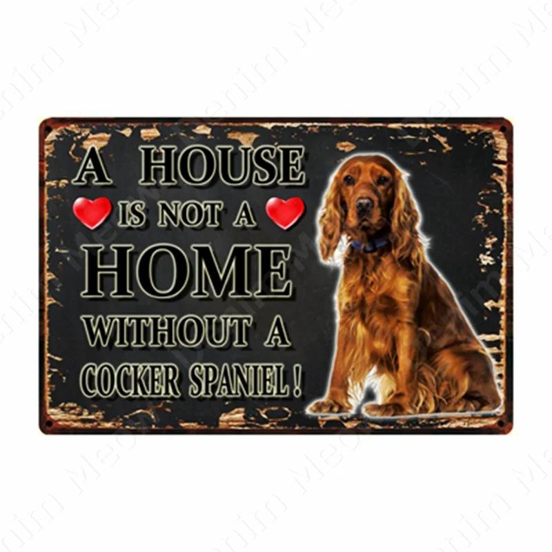 A House Is Not A Home Without A Dog Plaque, Vintage Metal Tin Signs, Bar, Cafe, Home Decor, Springer Spaniel, Wall Art Poster