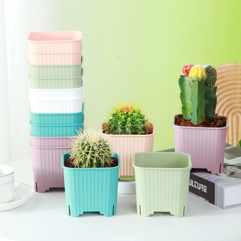 Square Plastic Pots With Drainage Hole Multicolor Breathable Plant Nursery Pot For Balcony Office Home Cactus Herb Gro