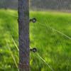 New Black Electric Fence Insulator High Strength Durable Fence Ring Post Insulator Insulator Tool Animal Husbandry Electronic