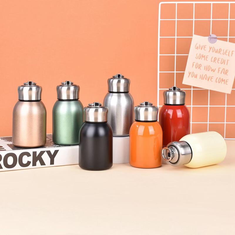Mini Chubby Insulated Stainless Steel Water Bottle